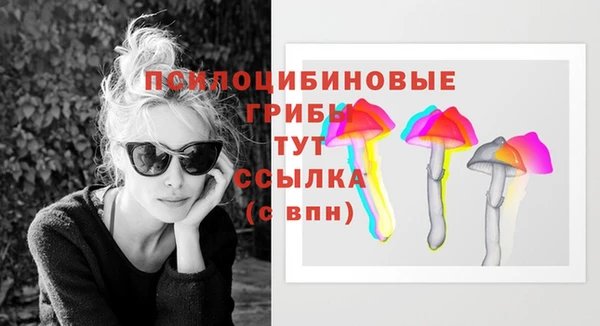 ешки Белокуриха