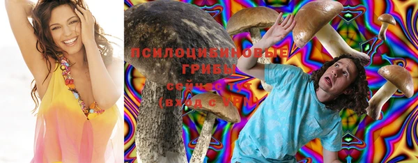 ешки Белокуриха